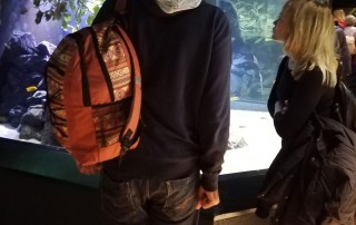 Zwei Personen stehen im Aquazoo vor einem Aquarium und betrachten die Tiere darin.