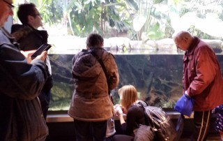 Nutzer der Lebenshilfe Neuss stehen im Aquazoo vor einem Gehege und betrachten die Tiere.