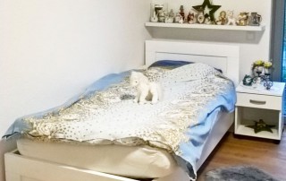 Ein neu gestaltetes und eingerichtetes Zimmer im neuen Wohnhaus Gnadental.