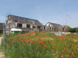 Der begonnene Neubau des Kinder- und Jugendwohnhauses. Davor ein Feld mit Mohnblumen.