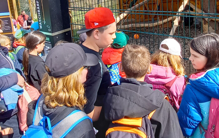 Kindergruppe steht vor Wildtiergehege.