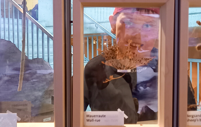 Junge blickt durch Fensterscheibe in Museum.