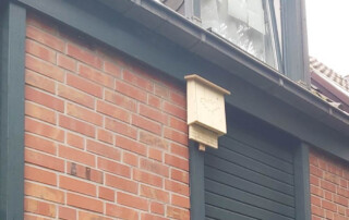 Ein Fledermauskasten hängt an einer Hauswand.
