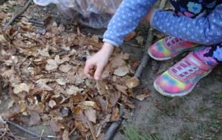 Kinder füllen den Barfuß-Pfad mit Laub.