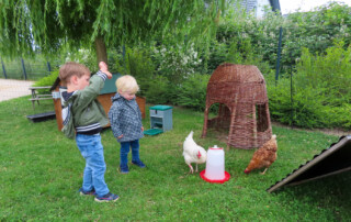 Zwei Kinder beobachten zwei Hühner.