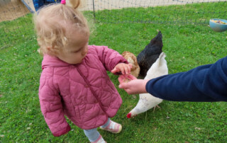 Ein Kind bekommt Futter für die Hühner in die Hand gereicht.