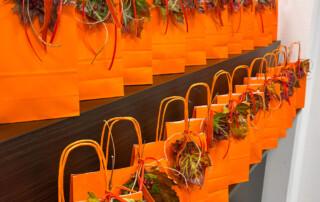 Viele orangene Tüten.