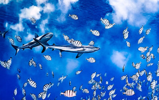 Ein Unterwasserbild.