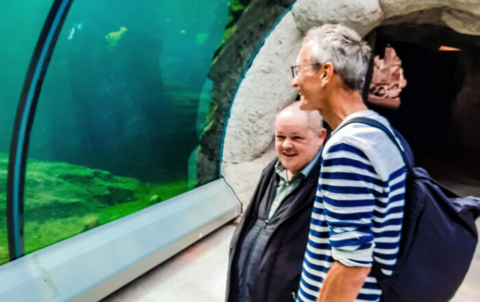 Ein Bewohner und ein Betreuer stehen vor dem Aquarium und schauen sich die Tiere an.