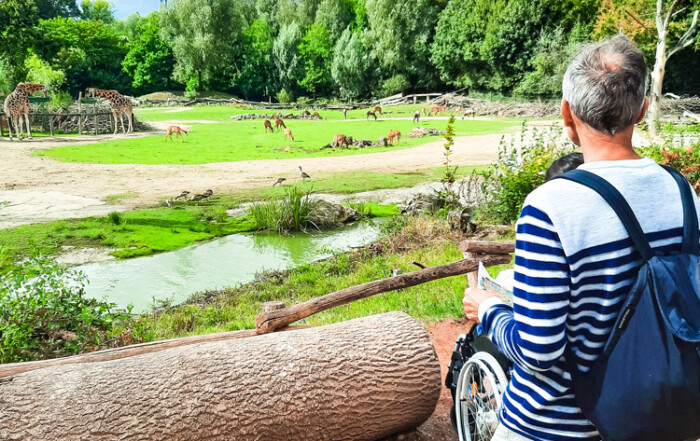 Ein Bewohner und ein Betreuer stehen vor einem Gehege und schauen sich die Tiere an.