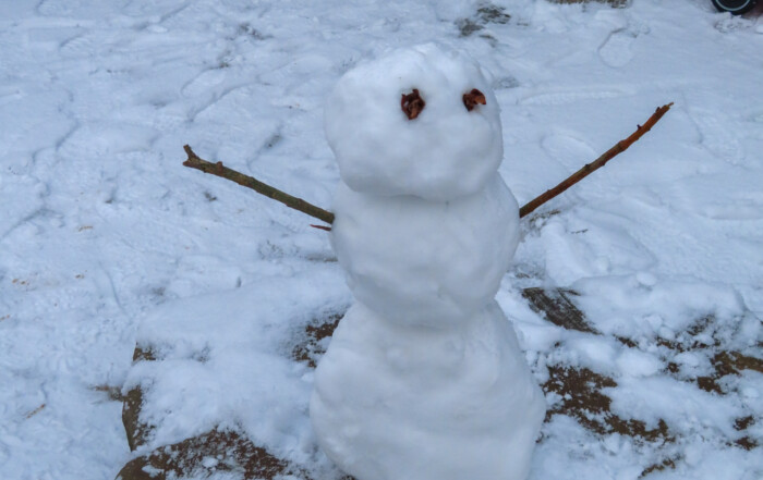 Ein Bild auf dem ein Schneemann zu sehen ist.