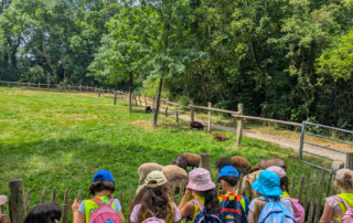 Ein Gruppenfoto der Kinder im Zoo