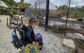 Ein Besucher schaut sich die Tiere im Gehege an