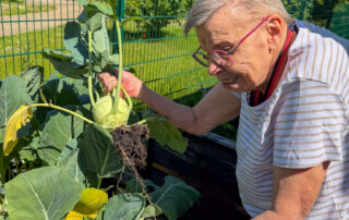 Eine Bewohnerin hält Kohlrabi in der Hand