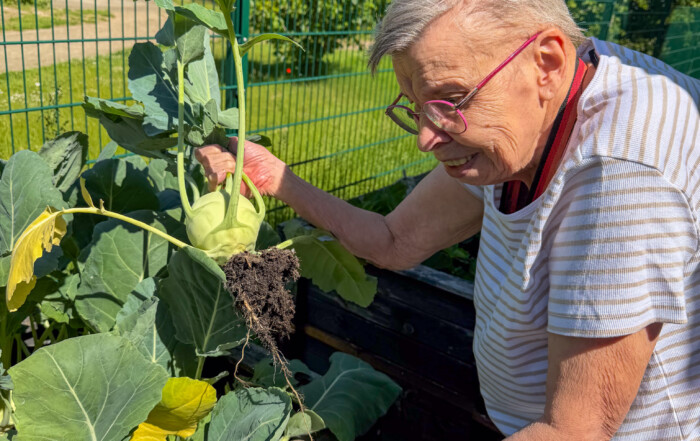 Eine Bewohnerin hält Kohlrabi in der Hand