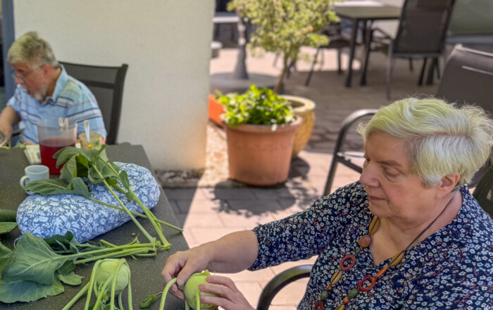 Die Bewohnenden bearbeiten den Kohlrabi